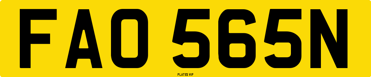 FAO 565N Number Plate