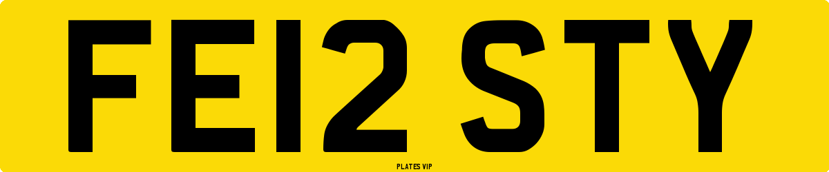 FE12 STY Number Plate