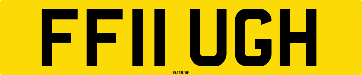 FF11 UGH Number Plate