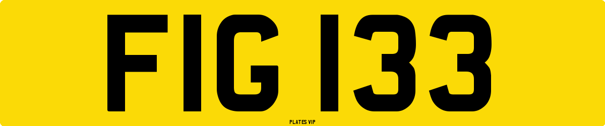 FIG 133 Number Plate
