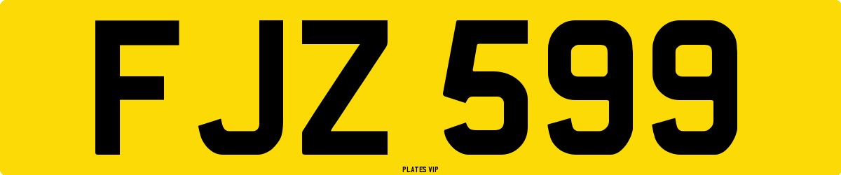 FJZ 599 Number Plate