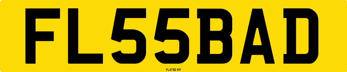 FL 55 BAD Number Plate