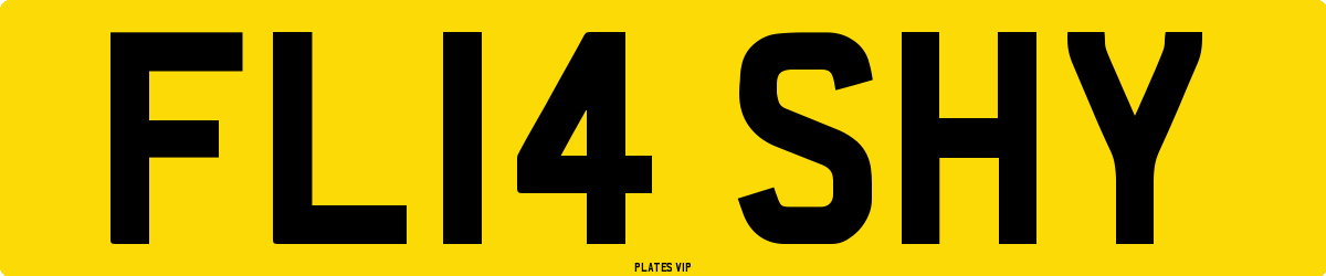 FL14 SHY Number Plate