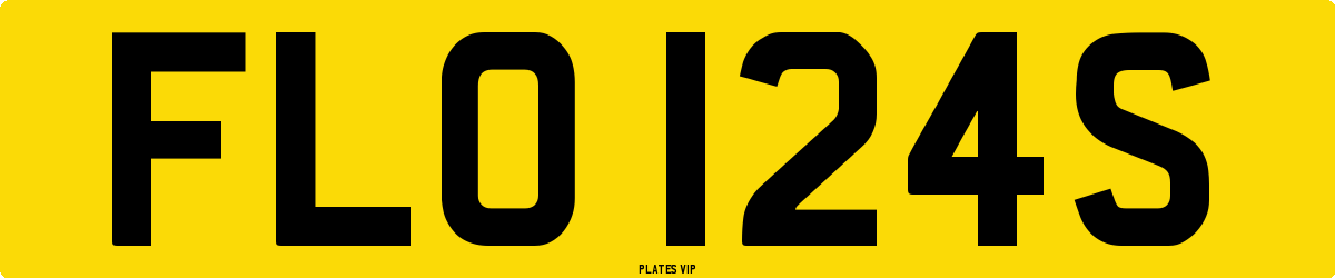 FLO 124S Number Plate