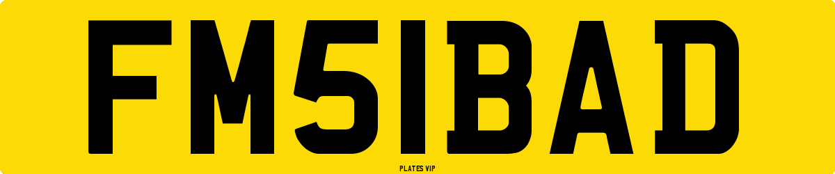 FM 51 BAD Number Plate