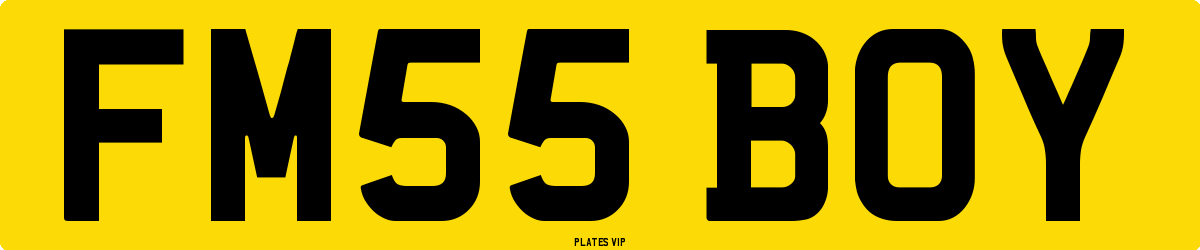 FM55 BOY Number Plate