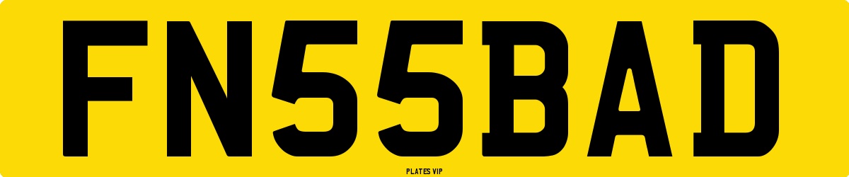 FN 55 BAD Number Plate
