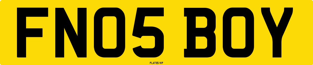 FN05 BOY Number Plate