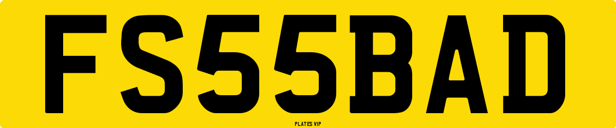 FS 55 BAD Number Plate