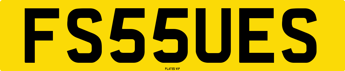 FS 55 UES Number Plate