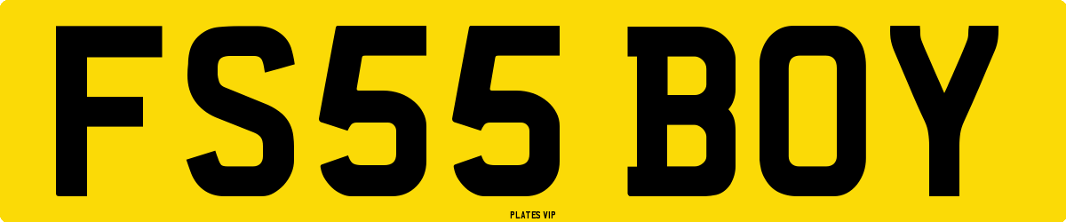 FS55 BOY Number Plate