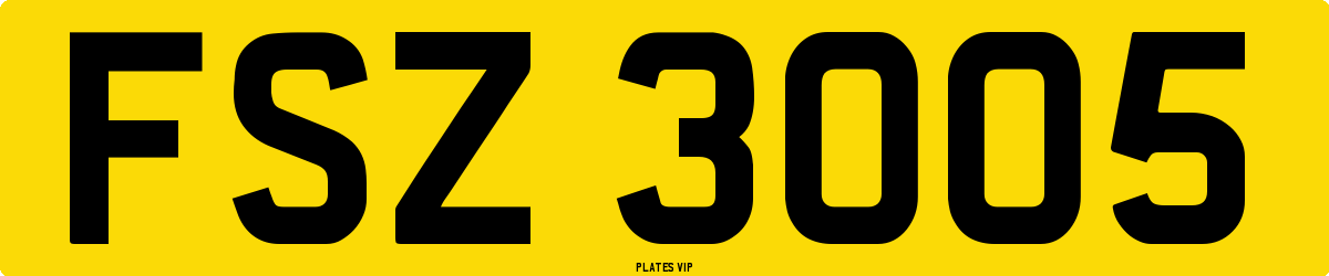 FSZ 3005 Number Plate