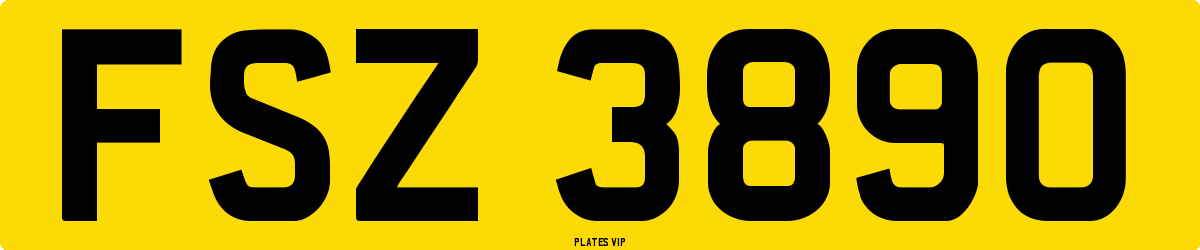 FSZ 3890 Number Plate