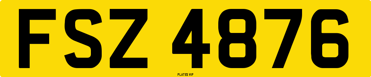 FSZ 4876 Number Plate