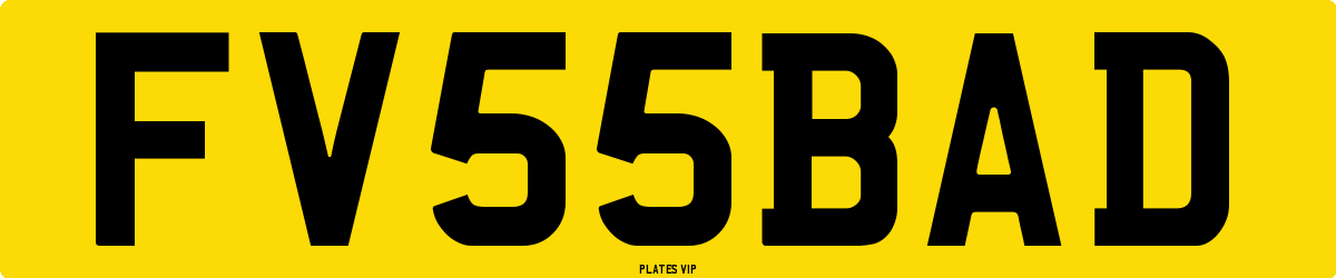 FV 55 BAD Number Plate