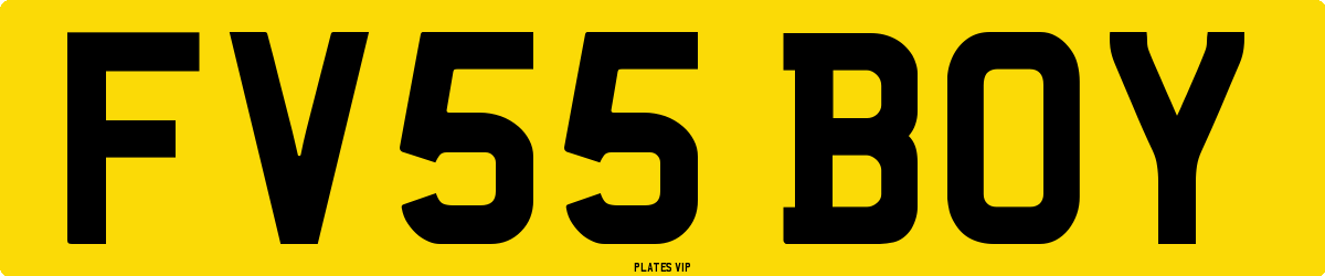 FV55 BOY Number Plate