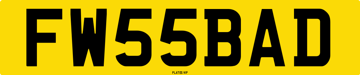 FW 55 BAD Number Plate