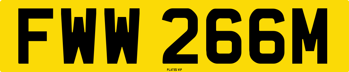 FWW 266M Number Plate