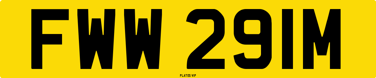 FWW 291M Number Plate