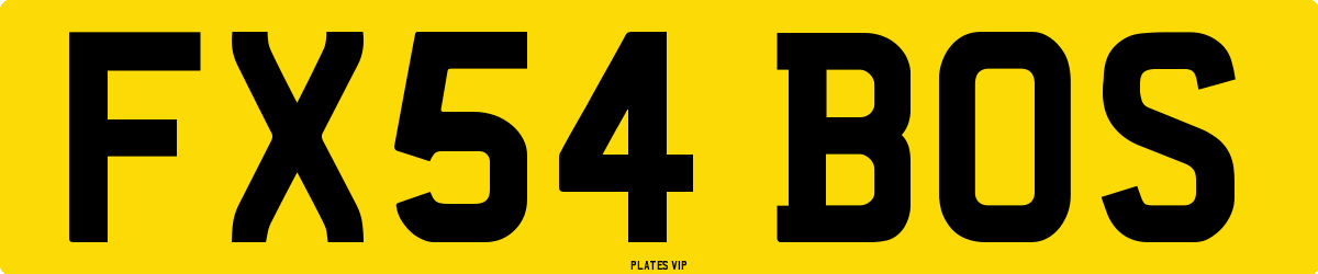 FX54 BOS Number Plate