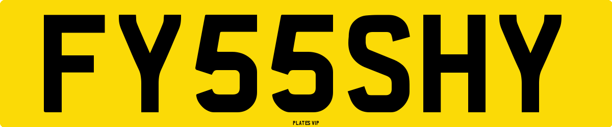 FY55SHY Number Plate