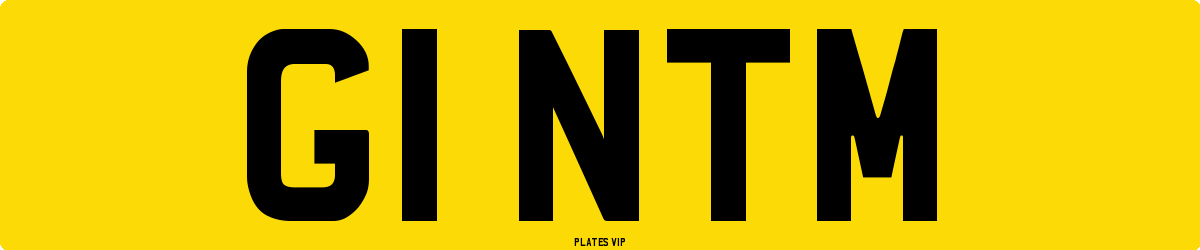 G1 NTM Number Plate