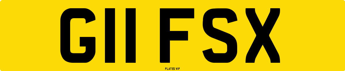 G11 FSX Number Plate