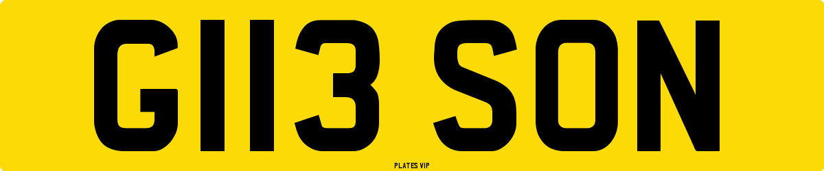 G113 SON Number Plate