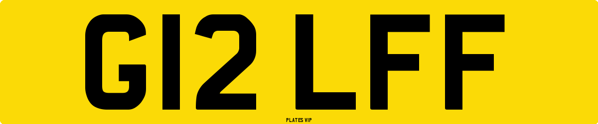 G12 LFF Number Plate