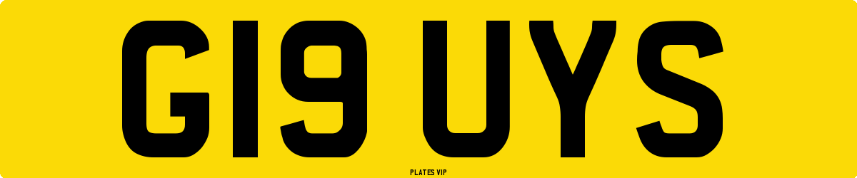 G19 UYS Number Plate