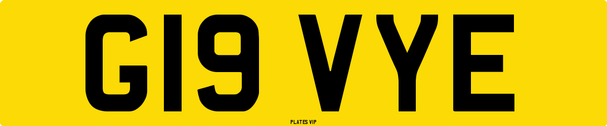 G19 VYE Number Plate