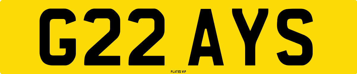G22 AYS Number Plate