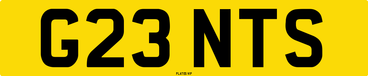 G23 NTS Number Plate