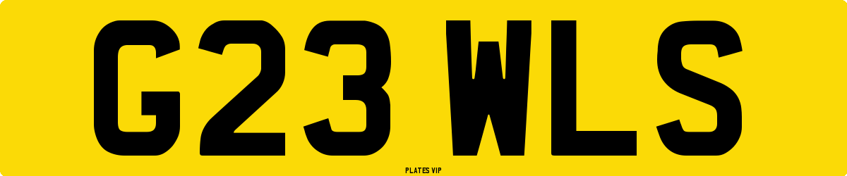 G23 WLS Number Plate