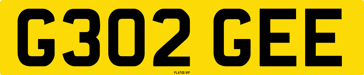 G302 GEE Number Plate