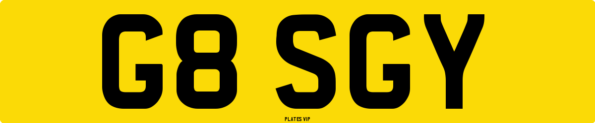 G8 SGY Number Plate
