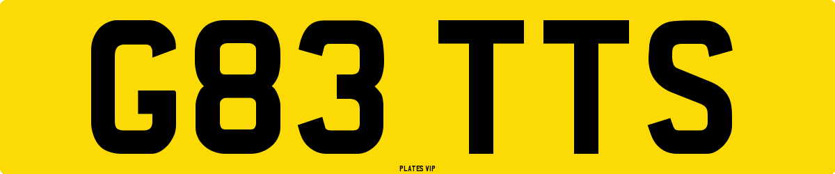 G83 TTS Number Plate