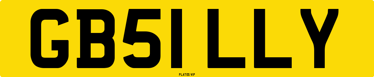 GB51 LLY Number Plate