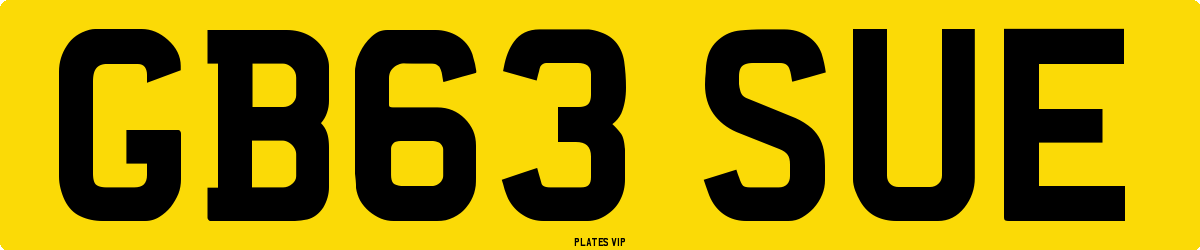GB63 SUE Number Plate