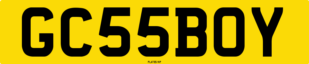 GC 55 BOY Number Plate