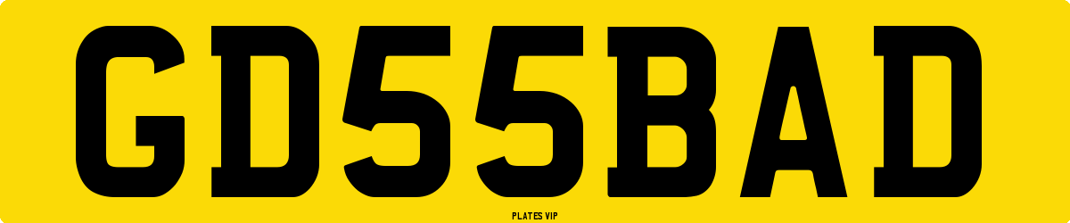 GD 55 BAD Number Plate