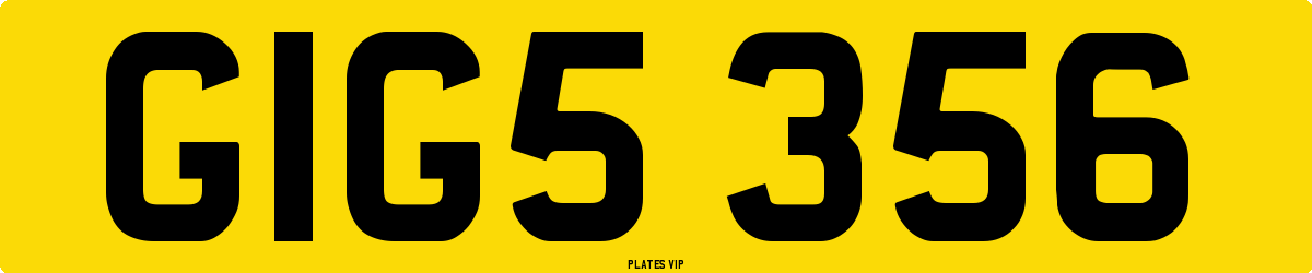 GIG5 356 Number Plate