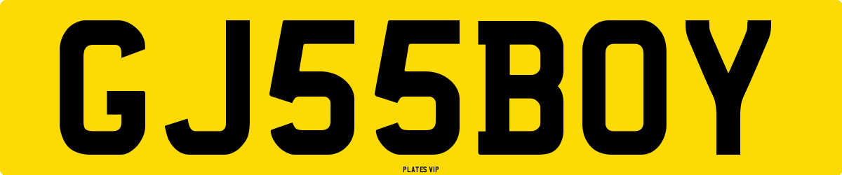 GJ 55 BOY Number Plate