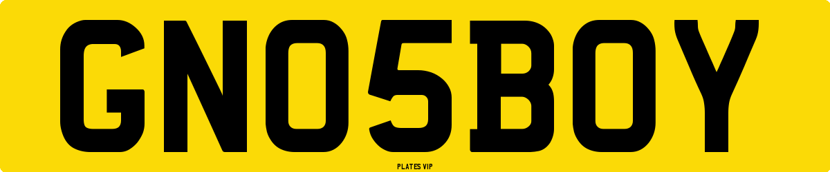 GN 05 BOY Number Plate