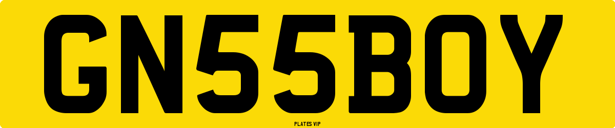 GN 55 BOY Number Plate