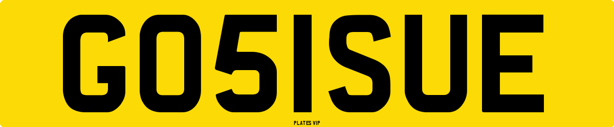 GO51SUE Number Plate