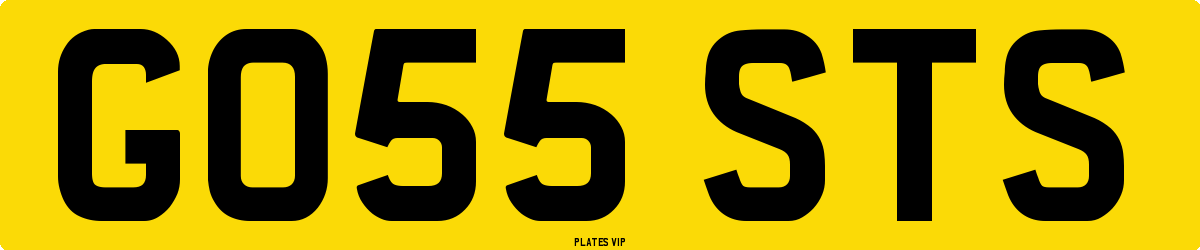 GO55 STS Number Plate