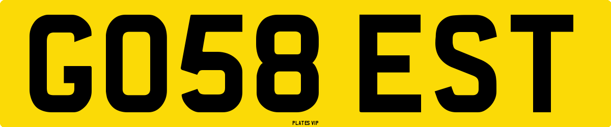 GO58 EST Number Plate