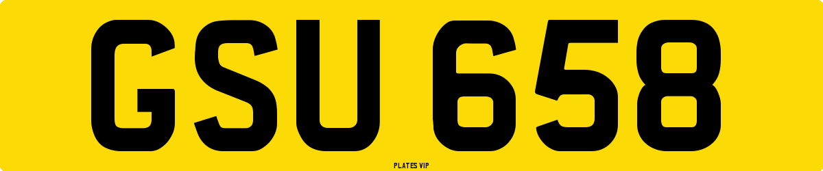 GSU 658 Number Plate