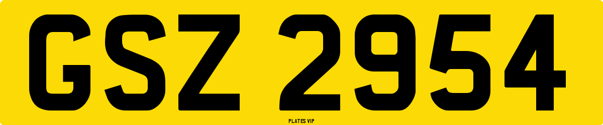 GSZ 2954 Number Plate